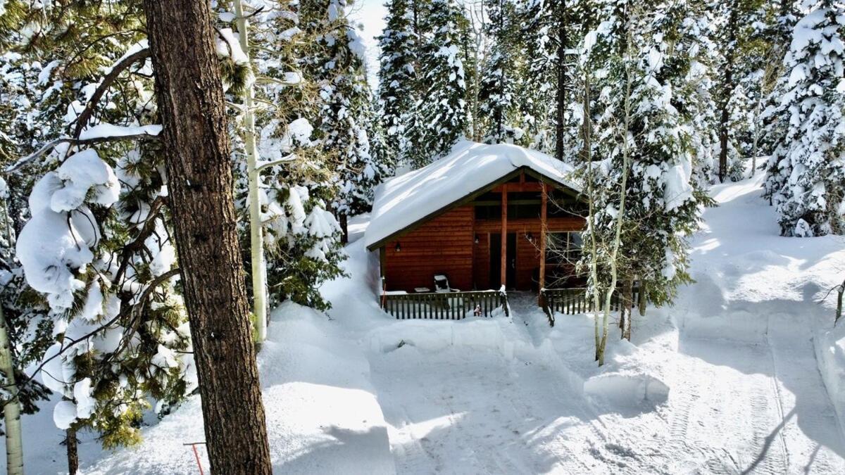 Lovely Log Cabin With Fire Pit! Duck Creek Village Zewnętrze zdjęcie